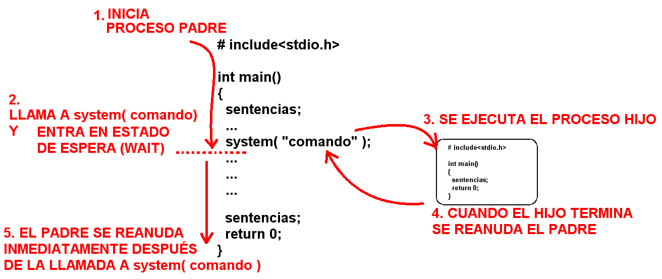 system() — el shell hijo ejecuta el comando y devuelve su estado al proceso que llamó.