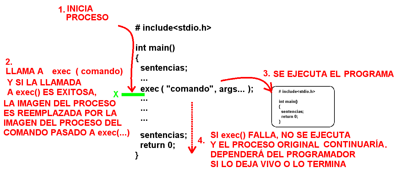 exec() — reemplaza la imagen del proceso actual por otro programa; no crea un proceso nuevo.